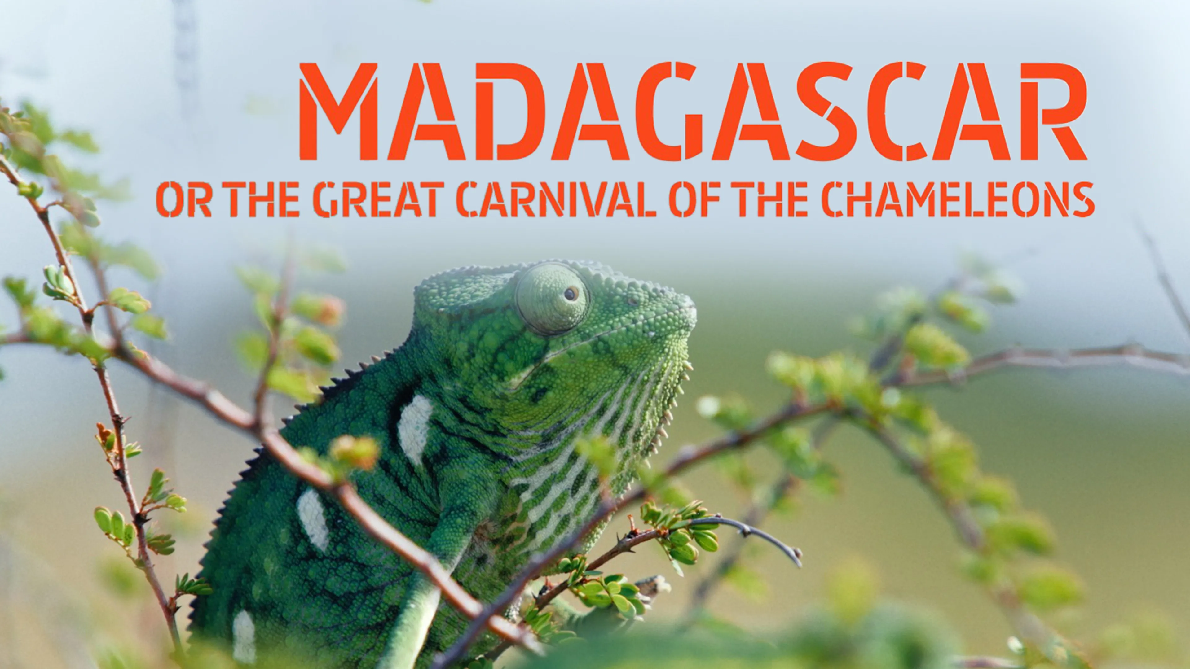 Title poster image